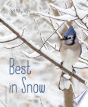 Best_in_snow