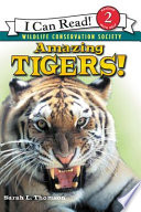 Amazing tigers!