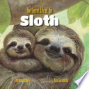 The secret life of the sloth
