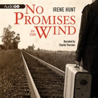 No promises in the wind