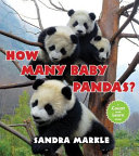 How many baby pandas?